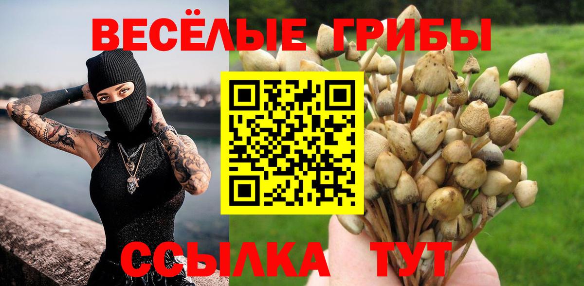 Псилоцибиновые грибы мицелий Тольятти